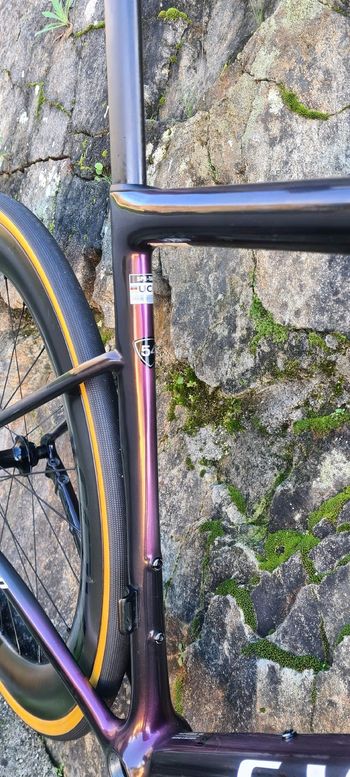 Used Specialized S-Works Tarmac SL8 Ready to Paint Frameset 2024 2024 Road & Gravel, Red — image 6 of 6