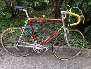 Vitus - 979 Duralinox, 1979