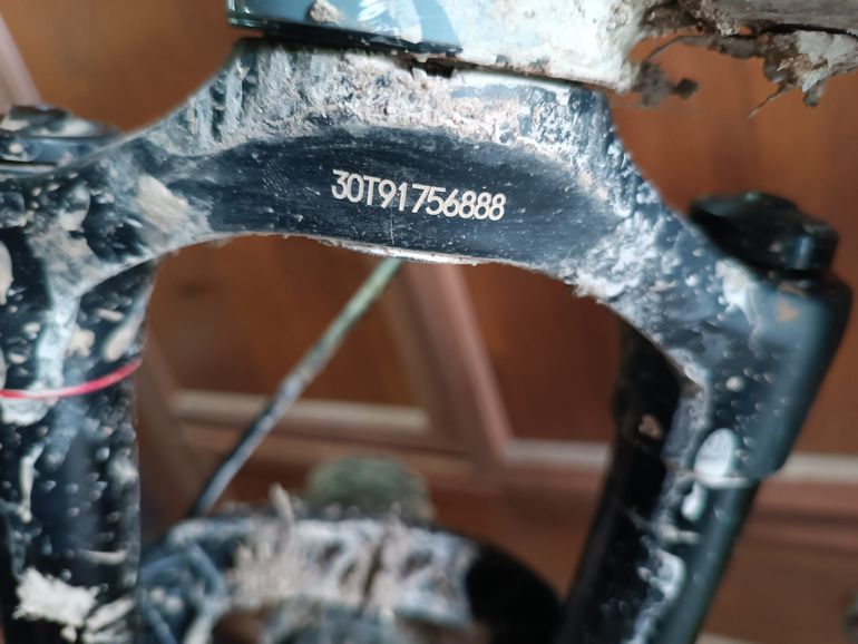 Used Giant Fathom E+ 2 Pro 29 Electric Bike 2020 2020 Mountainbike, Grigio chiaro — image 14 of 27
