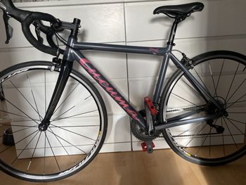 Used Cucuma Soleil 2017 Road & Gravel — image 1 of 3