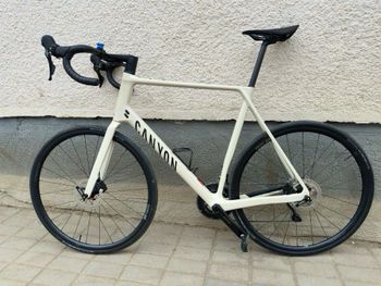 Canyon, Endurace CF 7 2024