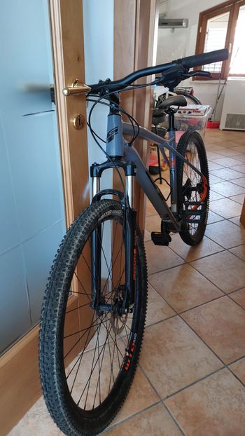 GT, Avalanche Sport 2021