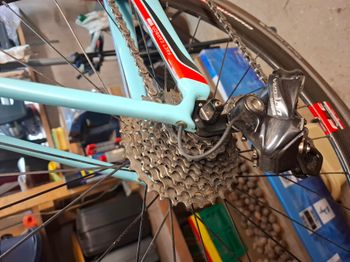 Used Specialized Roubaix SL4 Expert 2016 2016 Road & Gravel, Green — image 7 of 10