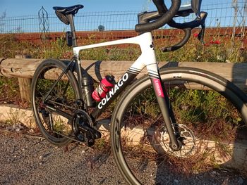 Used Colnago Uae Team Frameset 2025 Road & Gravel, Black — image 4 of 6