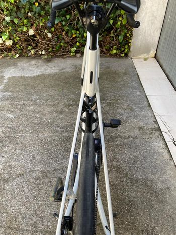 Použité Trek Madone SL 6 Gen 8 2025 2025 Road & Gravel — obrázek 13 z 13