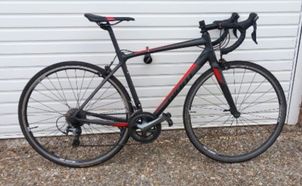 Giant -  Contend SL 2, 2019