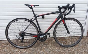 Giant -  Contend SL 2, 2019