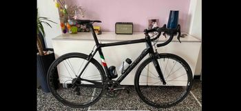 Buy used Colnago bike | buycycle USA