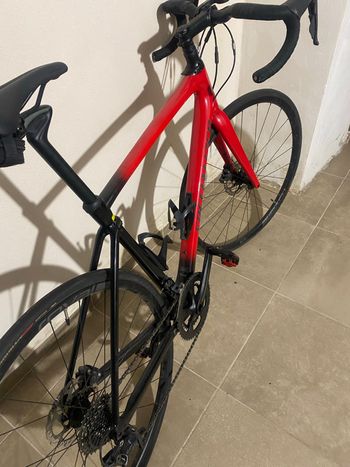Used Specialized Roubaix Sport 2019 2019 Road & Gravel — image 17 of 22