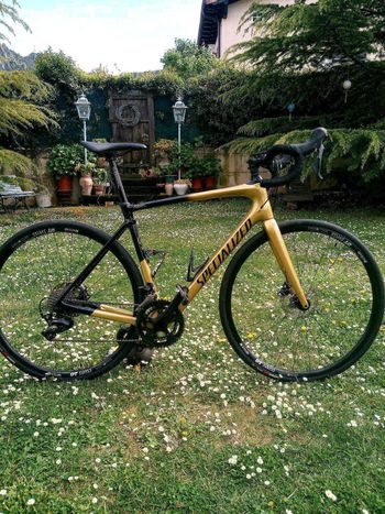 Specialized - Roubaix Comp – Sagan Collection 2018, 2018