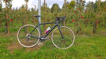 Used Canyon Ultimate AL SLX 9.0 2016 Road & Gravel — image 6 of 8