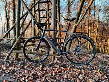 Used Cannondale Topstone 1 2021 Road & Gravel — image 7 of 9