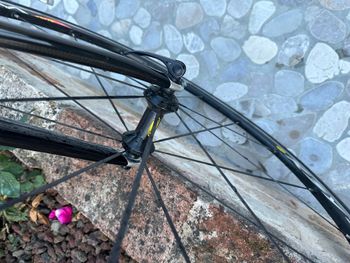 Used Scott CR-1-Ultegra 2007 Road & Gravel, Black — image 12 of 13