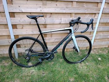 Fuji - SL 2.3 Disc, 2021