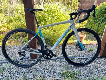 Specialized -  Diverge Sport, 2019
