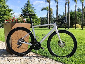 Specialized - S-Works Tarmac Disc – Sagan Collection Overexposed LTD 2020, 2020