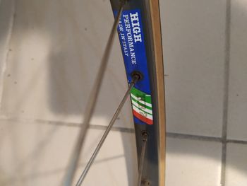 Pinarello Asolo 1980 Road & Gravel d'occasion — image 13 sur 15