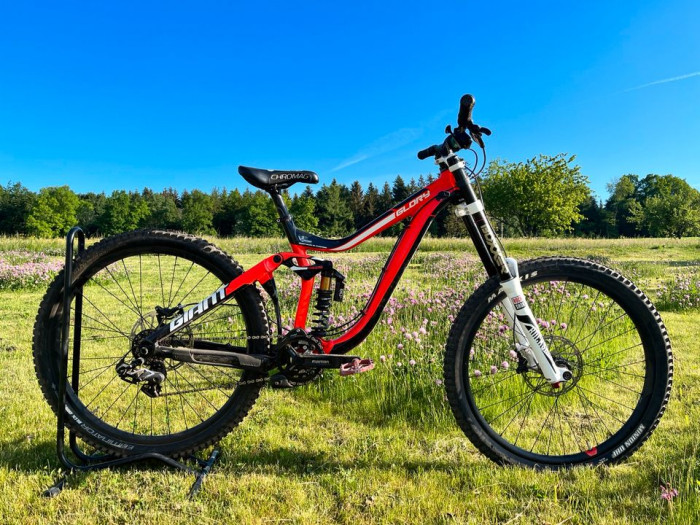 Giant glory downhill bike for sale hot sale