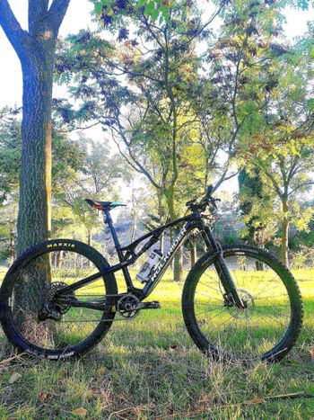 Used ROCKRIDER Cross Country Mountain Bike RACE 900S GX Eagle, carbon Reynolds wheels, carbon frame 2022 Frameset 2022 MTB
