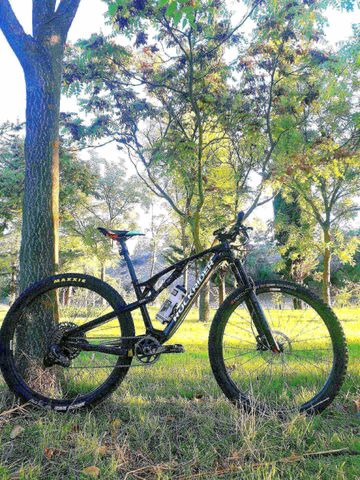 Gebrauchtes ROCKRIDER Cross Country Mountain Bike RACE 900S GX Eagle, carbon Reynolds wheels, carbon frame 2022 Frameset 2022 MTB