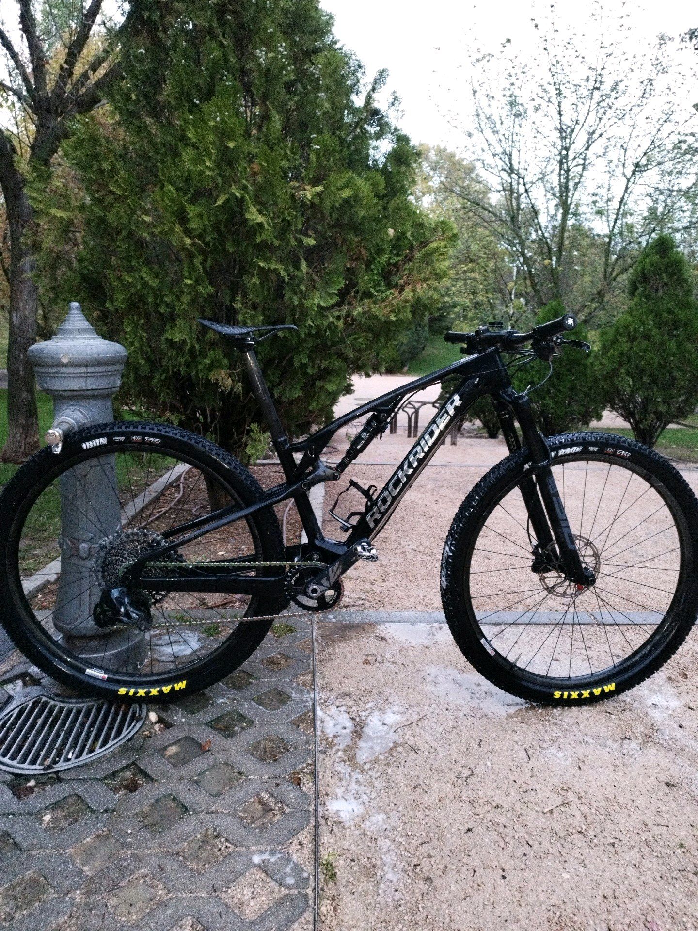 ROCKRIDER Cross Country Mountain Bike RACE 900S GX Eagle, carbon