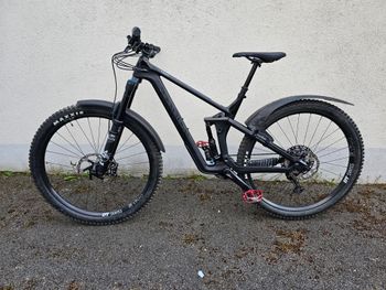 Canyon - Strive CF 8.0 2020, 2020