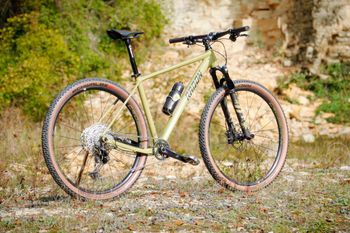 Used Radon JEALOUS AL 10.0 2023 2023 Mountainbike, Green, 29 — image 2 of 5