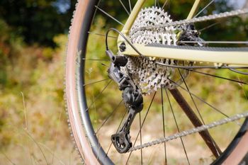 Used Radon JEALOUS AL 10.0 2023 2023 Mountainbike, Green, 29 — image 3 of 5