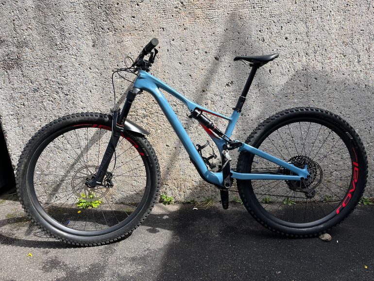 Stumpjumper fashion expert carbon 29 2019