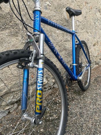 Used Vintage Custom 1990 Mountainbike, Blue — image 2 of 9