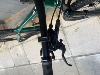 Used Thömus Tomcat 29 M 2023 Mountainbike, Green — image 2 of 5