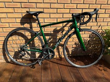 Used Specialized Allez Elite 2021 2021 Road & Gravel, Green — image 2 of 3