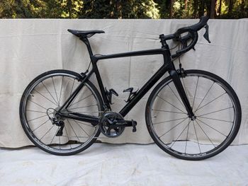 Buy used Colnago bike | buycycle USA