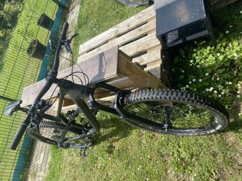 Used Canyon Spectral CF 7.0 2019 Mountainbike, Black — image 5 of 12