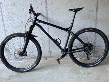 Used NS Eccentric Cromo 29: 2021 2021 MTB