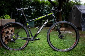 Cannondale - F-Si Team, 2015