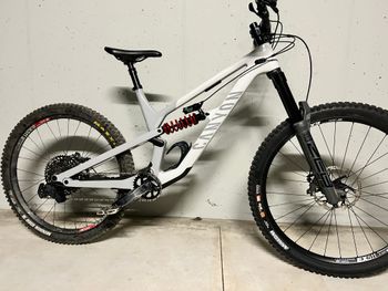 Canyon - Spectral Mullet CF 8 CLLCTV 2022, 2022