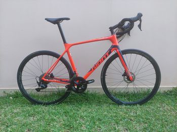 Giant - TCR Advanced Disc Pro Compact, 2021