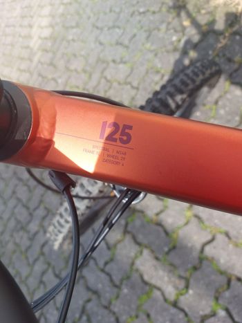 Used Canyon Spectral 125 AL 5 2023 2023 Mountainbike, Red, 29 — image 2 of 6