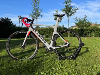Colnago - Concept Ultegra Di2 Bike, 2021