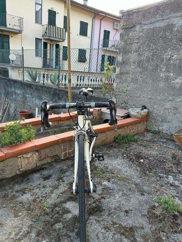 Used Moser 111 2017 Road & Gravel, White — image 6 of 6