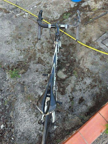 Used Moser 111 2017 Road & Gravel, White — image 4 of 6