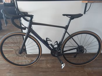 Giant - Contend SL 2 Disc 2021, 2021