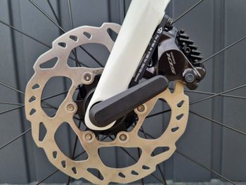Used Bianchi Sprint ICR 2024 Pearl White 2024 Road & Gravel, White — image 8 of 16
