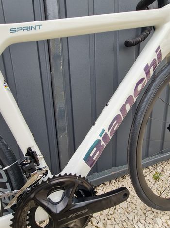 Used Bianchi Sprint ICR 2024 Pearl White 2024 Road & Gravel, White — image 4 of 16