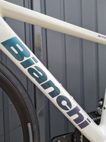 Used Bianchi Sprint ICR 2024 Pearl White 2024 Road & Gravel, White — image 10 of 16