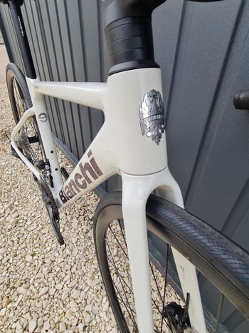 Used Bianchi Sprint ICR 2024 Pearl White 2024 Road & Gravel, White — image 7 of 16