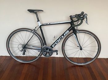 Focus - FOCUS Cayo Ultegra, 2017