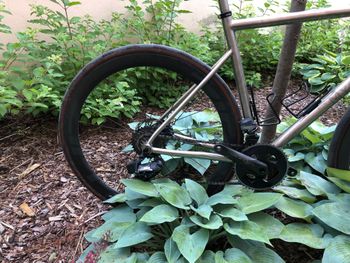 Used Custom Myrad titan gravel 2x12 Force 2023 Road & Gravel — image 3 of 11