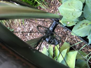 Used Custom Myrad titan gravel 2x12 Force 2023 Road & Gravel — image 9 of 11